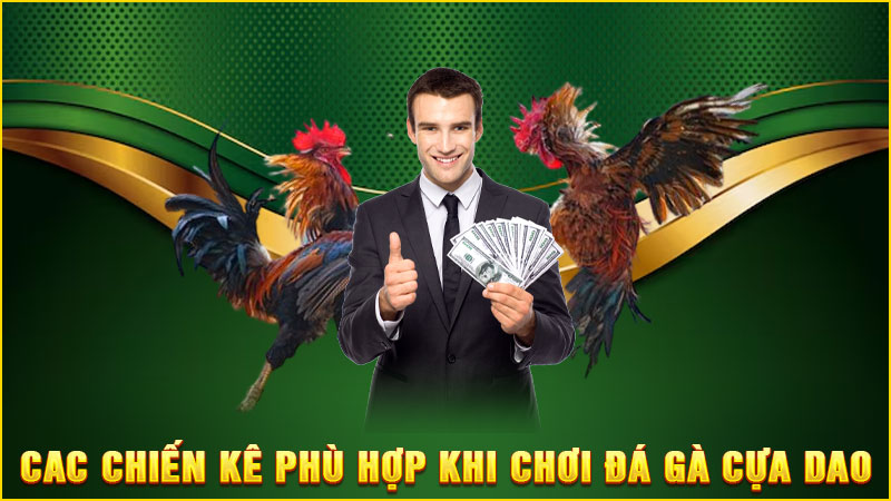 các chiến kê phù hợp khi chơi đá gà cựa dao
