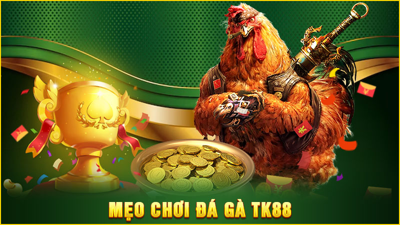 mẹo chơi đá gà tk88