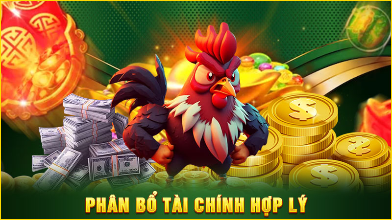 phân bổ tài chính hợp lý