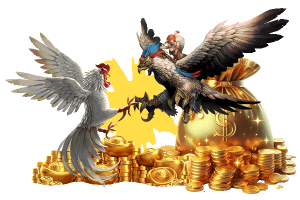 phao cứu trợ đá gà